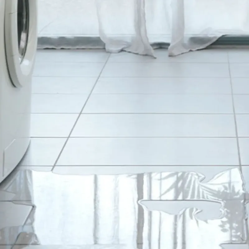 Appliance Leak Cleanup in De Soto, MO