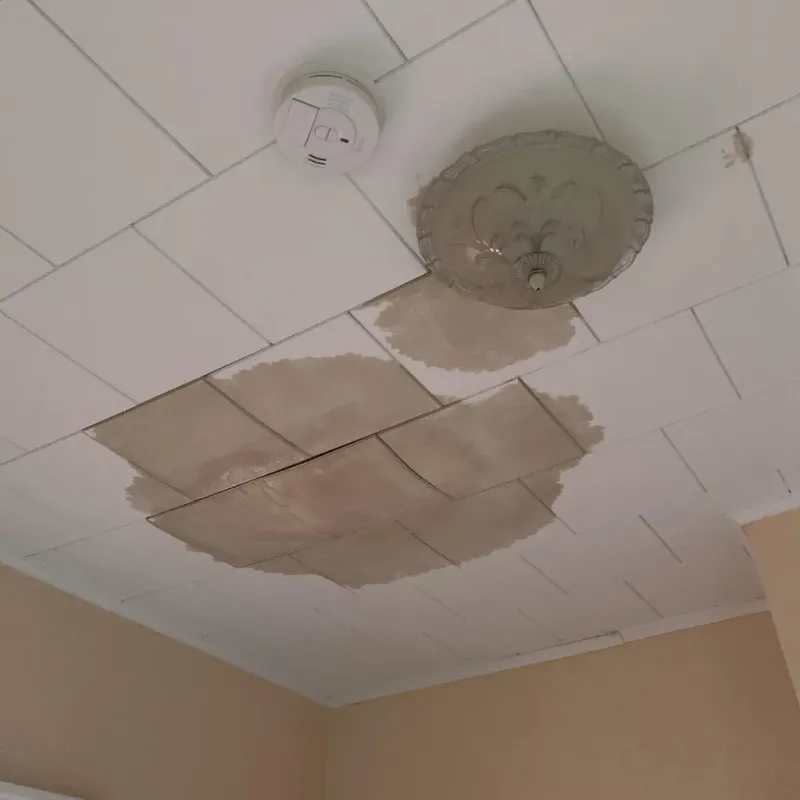 Ceiling Water Damage Repair in De Soto, MO