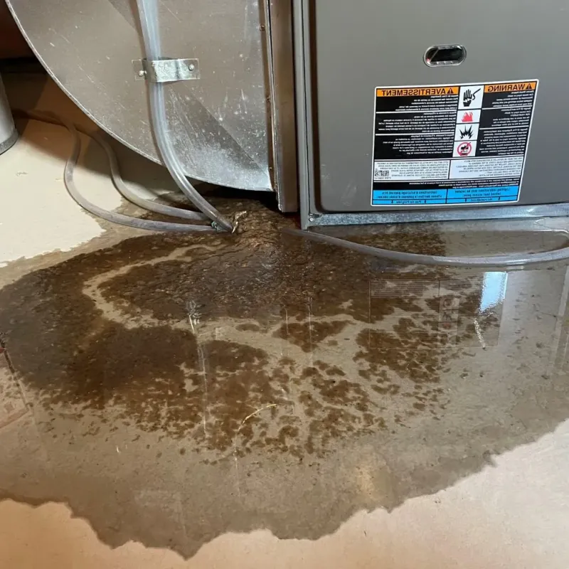 Pipe Burst and Leak Restoration in De Soto, MO