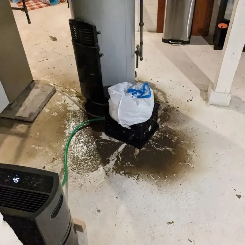 Sewage Backup Cleanup Service in De Soto, MO